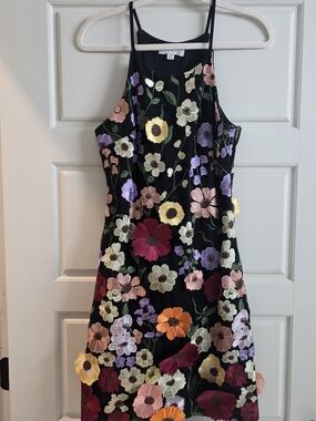 She + Sky Womens Black Floral Boutique Embroidered Dress